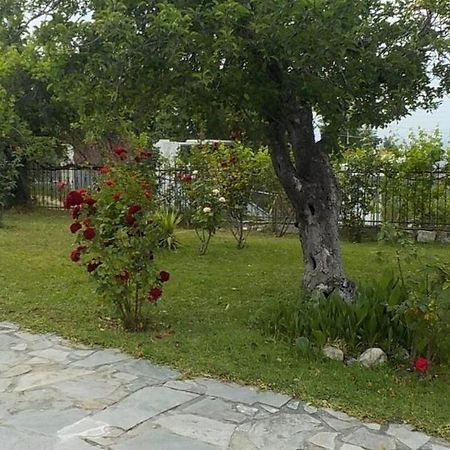 Katerina'S Holiday Home Kриопиги Екстериор снимка